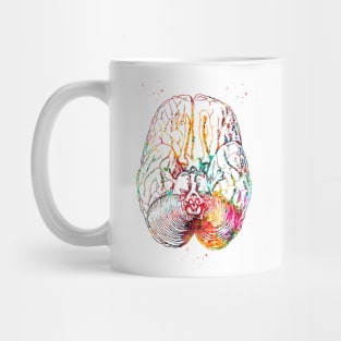 Human brain section Mug